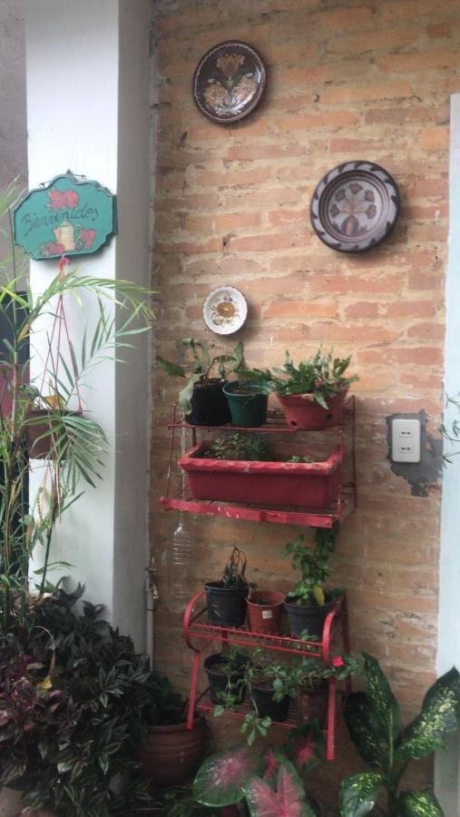 La Petite Maison De Diana Asuncion Kültér fotó