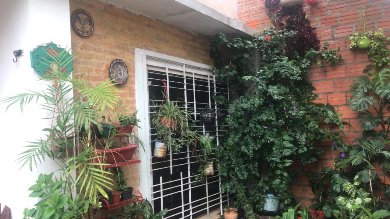 La Petite Maison De Diana Asuncion Kültér fotó