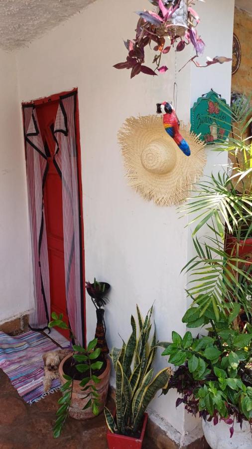 La Petite Maison De Diana Asuncion Kültér fotó