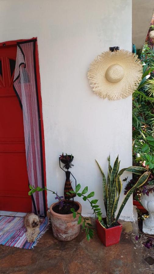 La Petite Maison De Diana Asuncion Kültér fotó