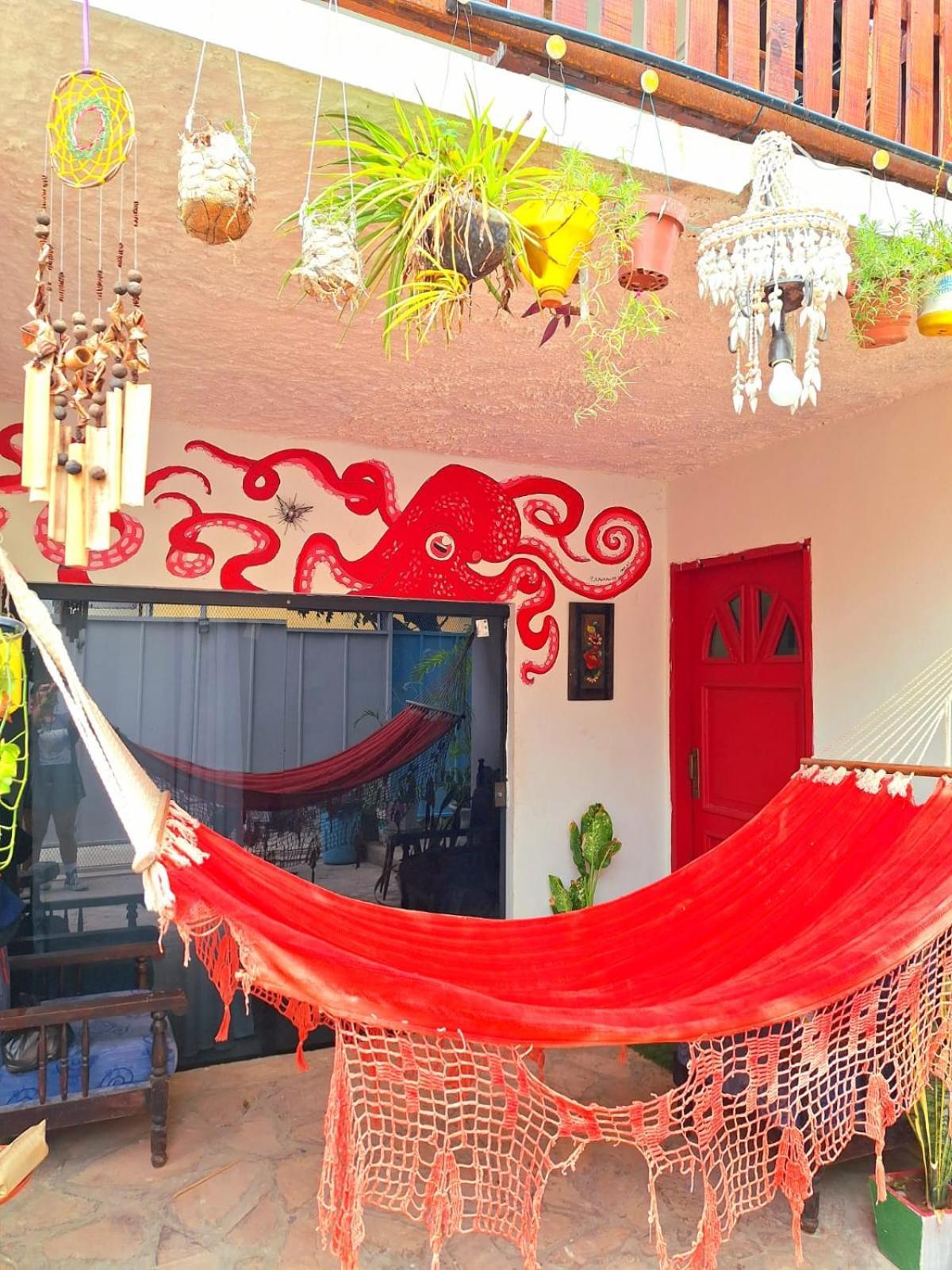 La Petite Maison De Diana Asuncion Kültér fotó