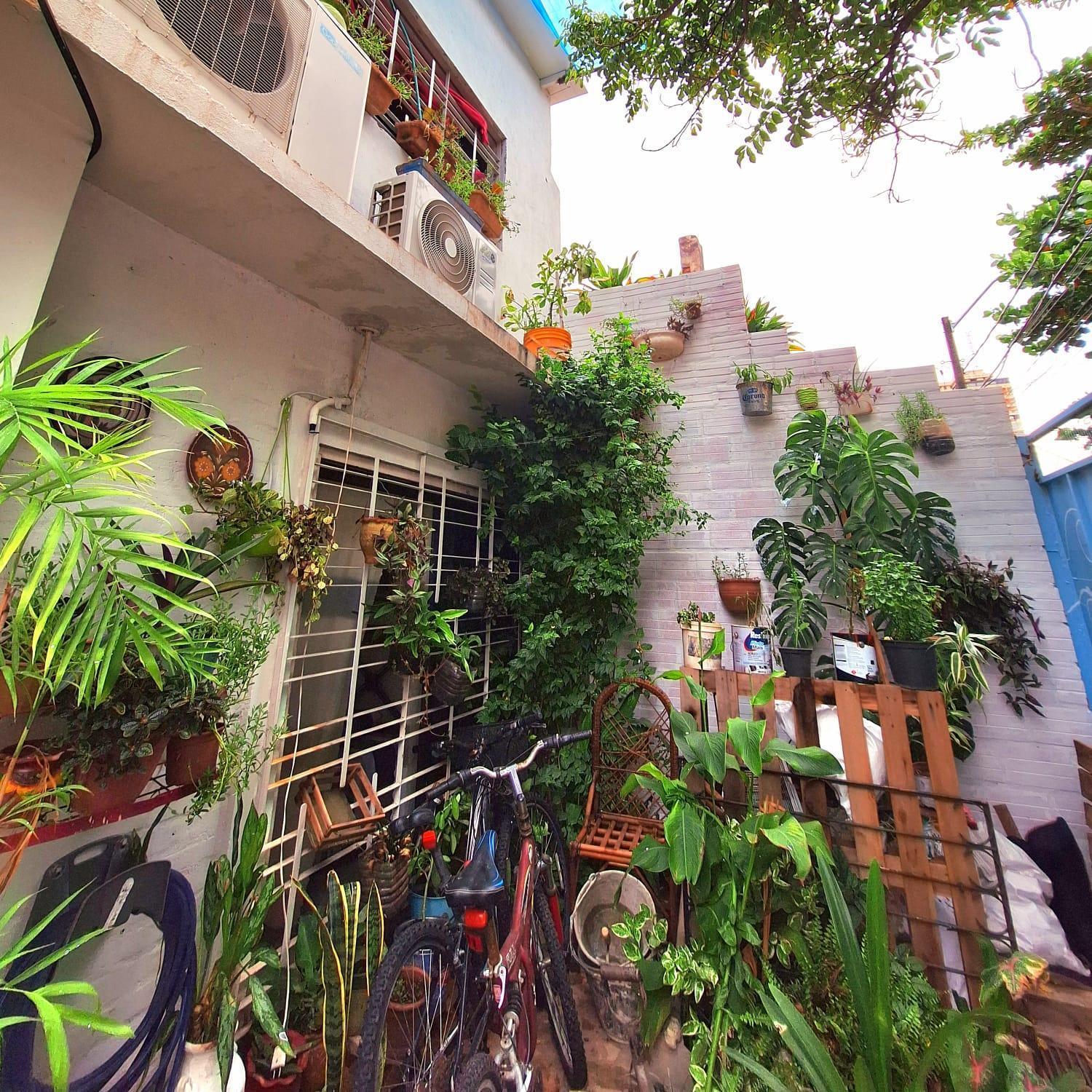 La Petite Maison De Diana Asuncion Kültér fotó