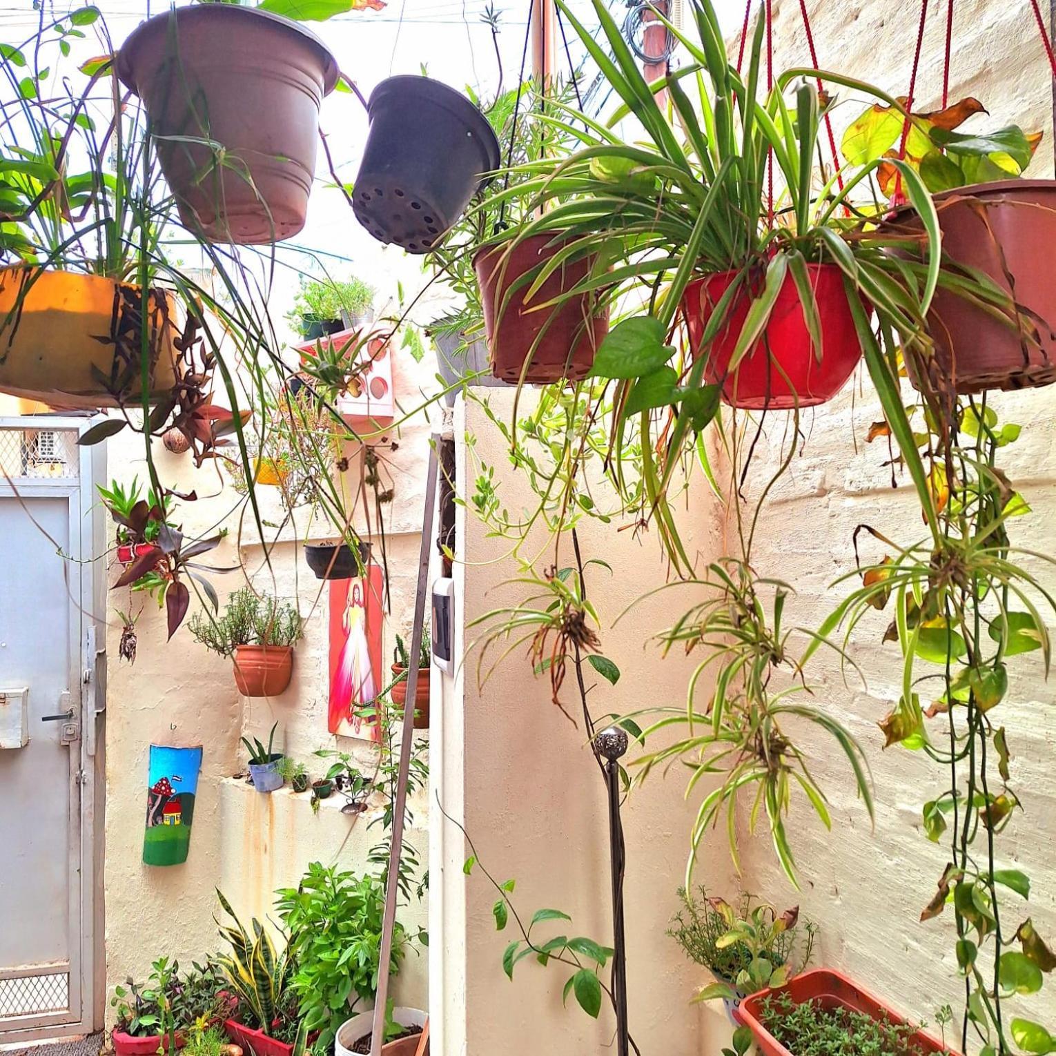 La Petite Maison De Diana Asuncion Kültér fotó